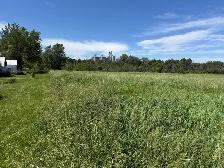 Up to 50 Hay Barrels, Organic Farmland, Ready for Cutting - Photo 2