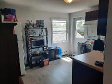 July 1st New Reno Large one LBR Apt & Balcony Center Quinpool RD - Photo 6
