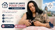 Coupe de griffes à domicile pour chat