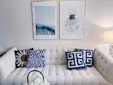 Staging Clearance: Cushions & Carpet