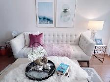 Staging Clearance: Cushions & Carpet - Photo 8