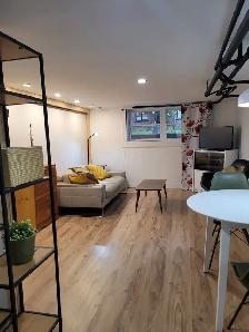 2 1/2  À LOUER (CHAUFFAGE INCLUS ET MEUBLÉ) - Photo 4