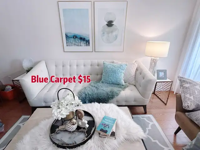 Staging Clearance: Carpte