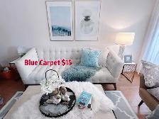Staging Clearance: Carpte