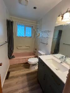 Beautiful house for moving sale - Photo 6
