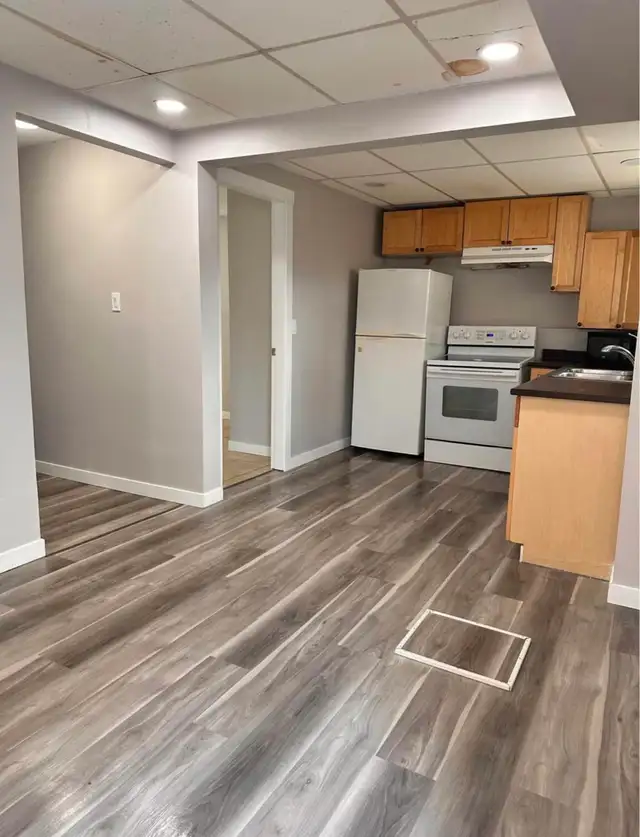 2 bedroom basement suite