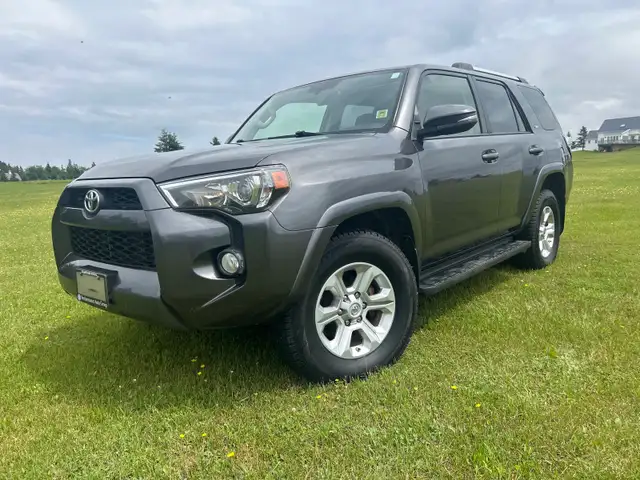 2019  SR5 4 Runner