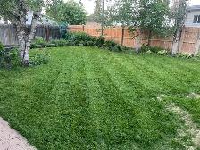 Lawn Care Service - Photo 3