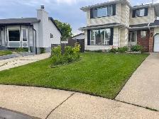 Lawn Care Service - Photo 4