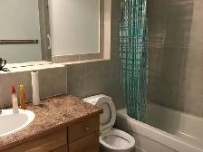Calgary NW separate basement suite short term rental 7-30days - Photo 3