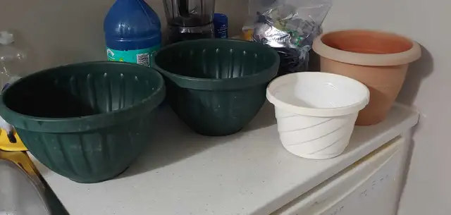 FREE PLANT POTS!