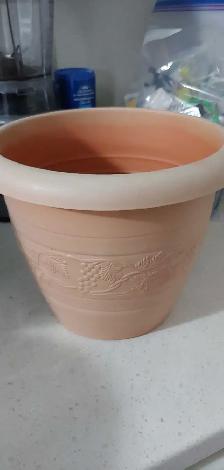 FREE PLANT POTS! - Photo 3