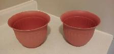 FREE PLANT POTS! - Photo 5