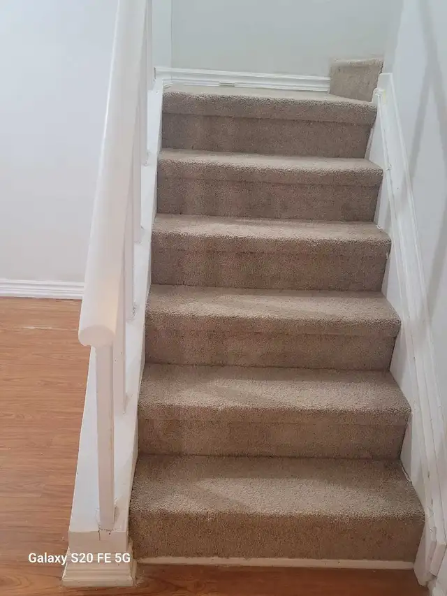 Basement Apartment for rent