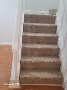Basement Apartment for rent