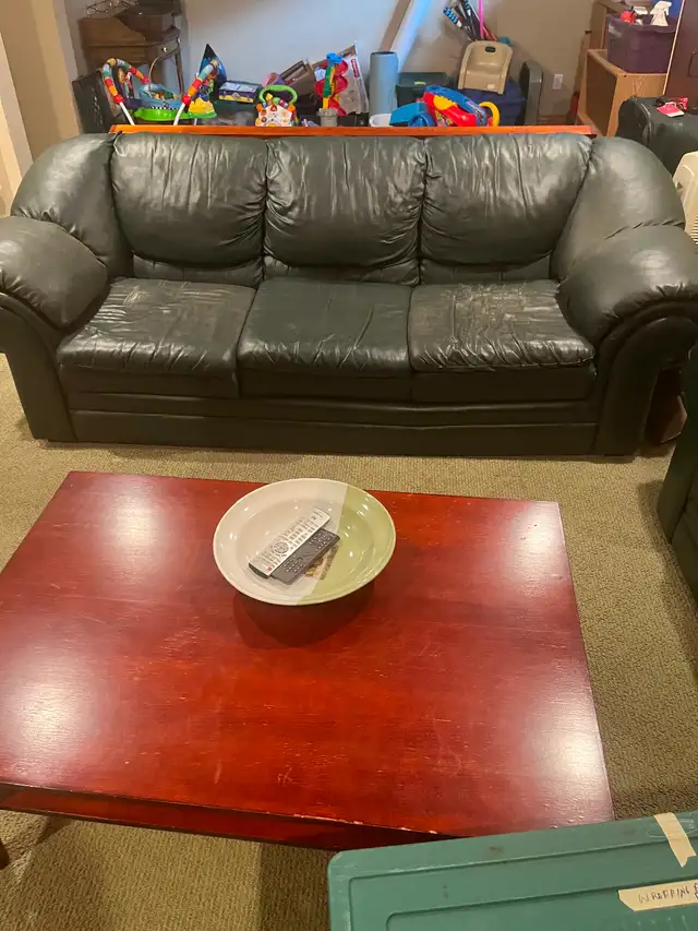 Matching Sofa and Love Seat