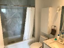Beautiful 1-Bdrm Condo