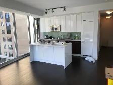 Beautiful 1-Bdrm Condo - Photo 4