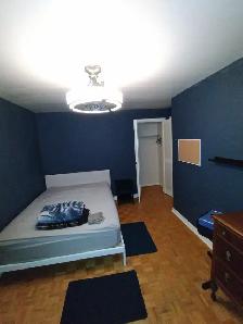 Room For Rent Yonge and Eglinton July Ist 875$ - Photo 3