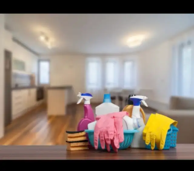 Experienced housekeeper/cleaner available - Toronto Area