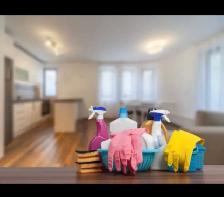 Experienced housekeeper/cleaner available - Toronto Area