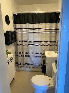 1 Bedroom Apartment near University/Hospital - Photo 2