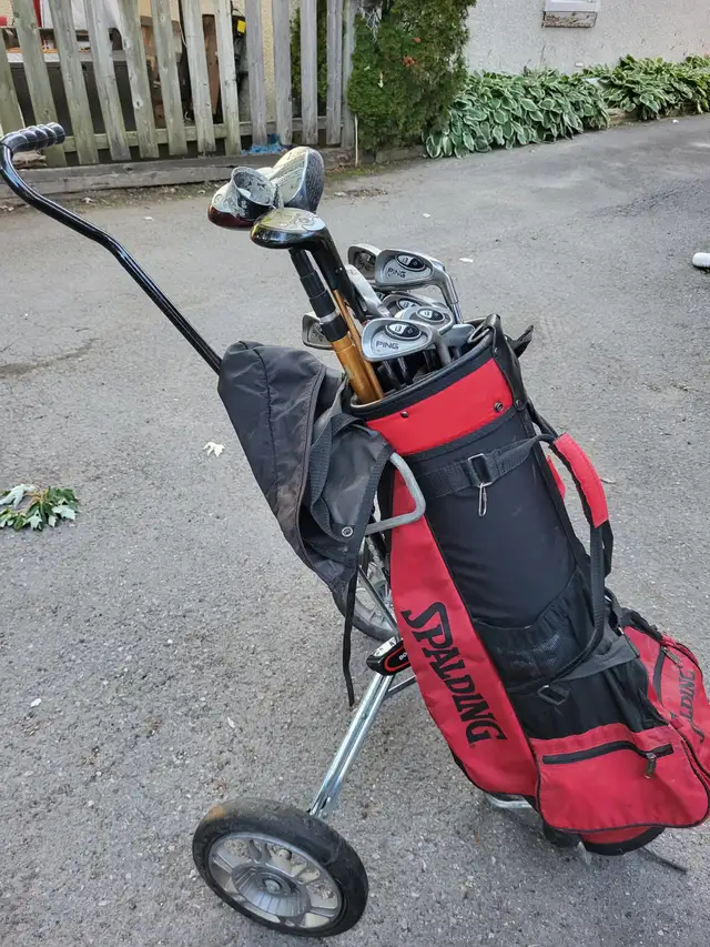 Sac de golf a vendre thurso qc