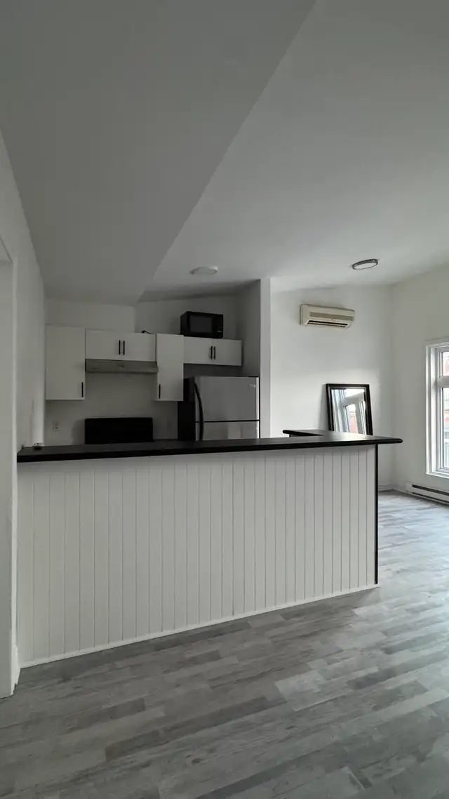 3 1 Apartment for Rent – Montreal (Ontario East)