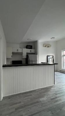 3 1 Apartment for Rent – Montreal (Ontario East)