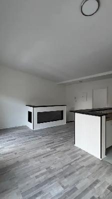3 1 Apartment for Rent – Montreal (Ontario East) - Photo 2