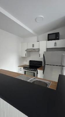 3 1 Apartment for Rent – Montreal (Ontario East) - Photo 3