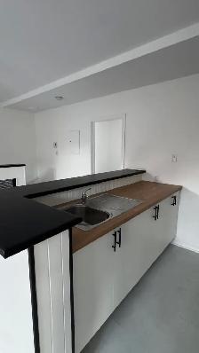 3 1 Apartment for Rent – Montreal (Ontario East) - Photo 4
