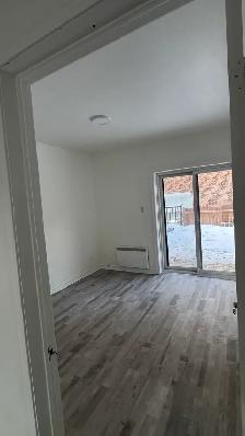 3 1 Apartment for Rent – Montreal (Ontario East) - Photo 5