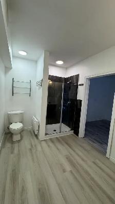 3 1 Apartment for Rent – Montreal (Ontario East) - Photo 6