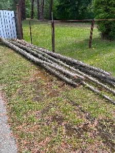 Free wood, must cut yourself, June 27, Castlegar