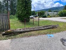 Free wood, must cut yourself, June 27, Castlegar - Photo 3