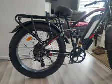 vélo électrique - Photo 4
