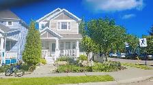 Beautiful Basment suit for rent in Lake Summerside