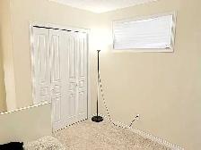 Beautiful Basment suit for rent in Lake Summerside - Photo 4