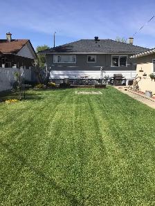 Home for sale - Photo 4