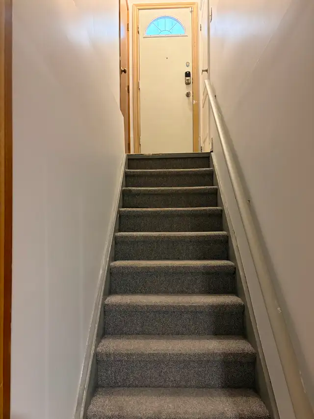 Basement for rent