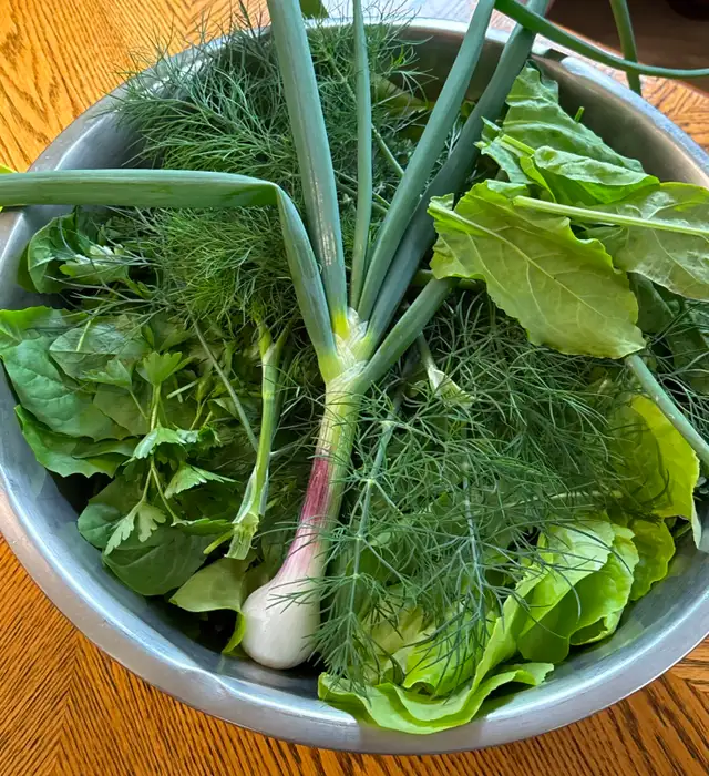 Organic salad greens from local farm