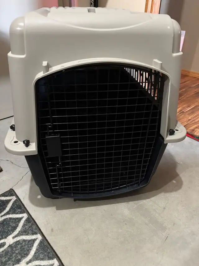 dog kennel