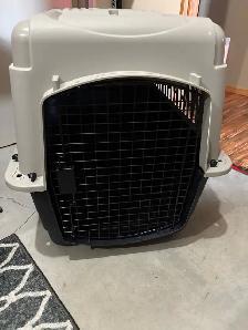 dog kennel