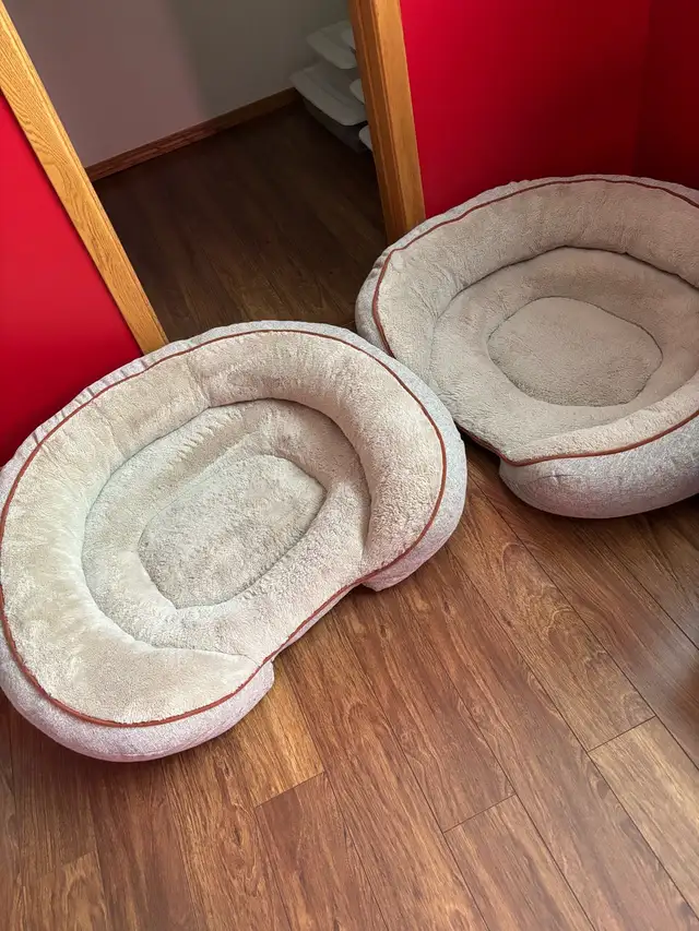 dog beds