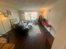 1 Roomie-3 BD Apt. Steps to High Park Subway Available NOW