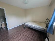 1 Roomie-3 BD Apt. Steps to High Park Subway Available NOW - Photo 6