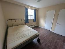 1 Roomie-3 BD Apt. Steps to High Park Subway Available NOW - Photo 7