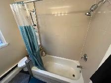 1 Roomie-3 BD Apt. Steps to High Park Subway Available NOW - Photo 8