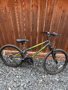 Supercycle Mountain Bike